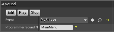 Programmer asset name